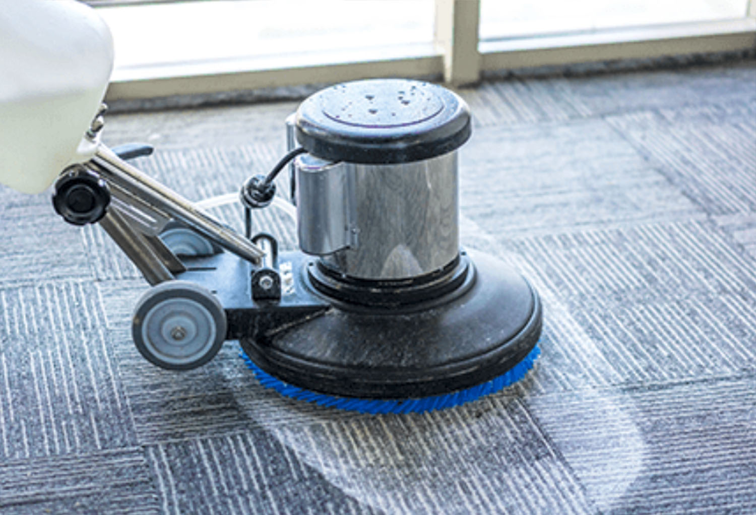 Carpet Cleaning